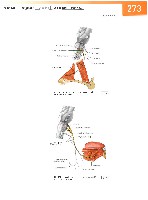Sobotta Atlas of Human Anatomy  Head,Neck,Upper Limb Volume1 2006, page 280